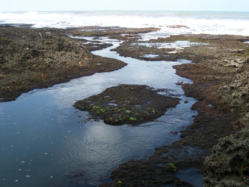 Piscina Natural On The Sea Cahuita Esterno foto