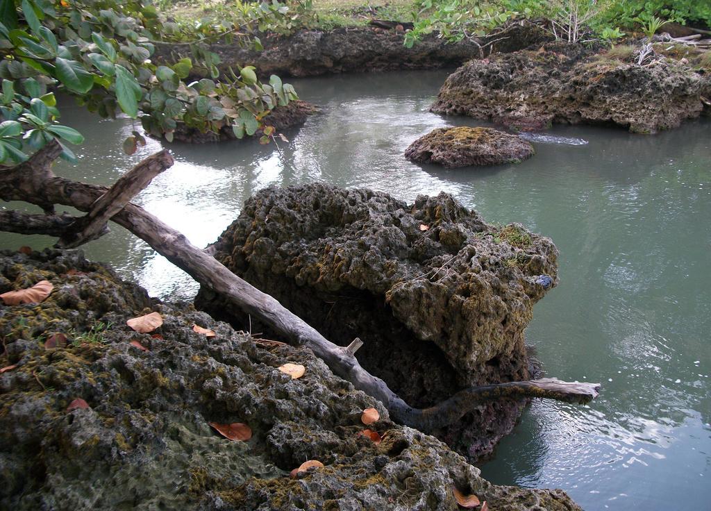 Piscina Natural On The Sea Cahuita Esterno foto