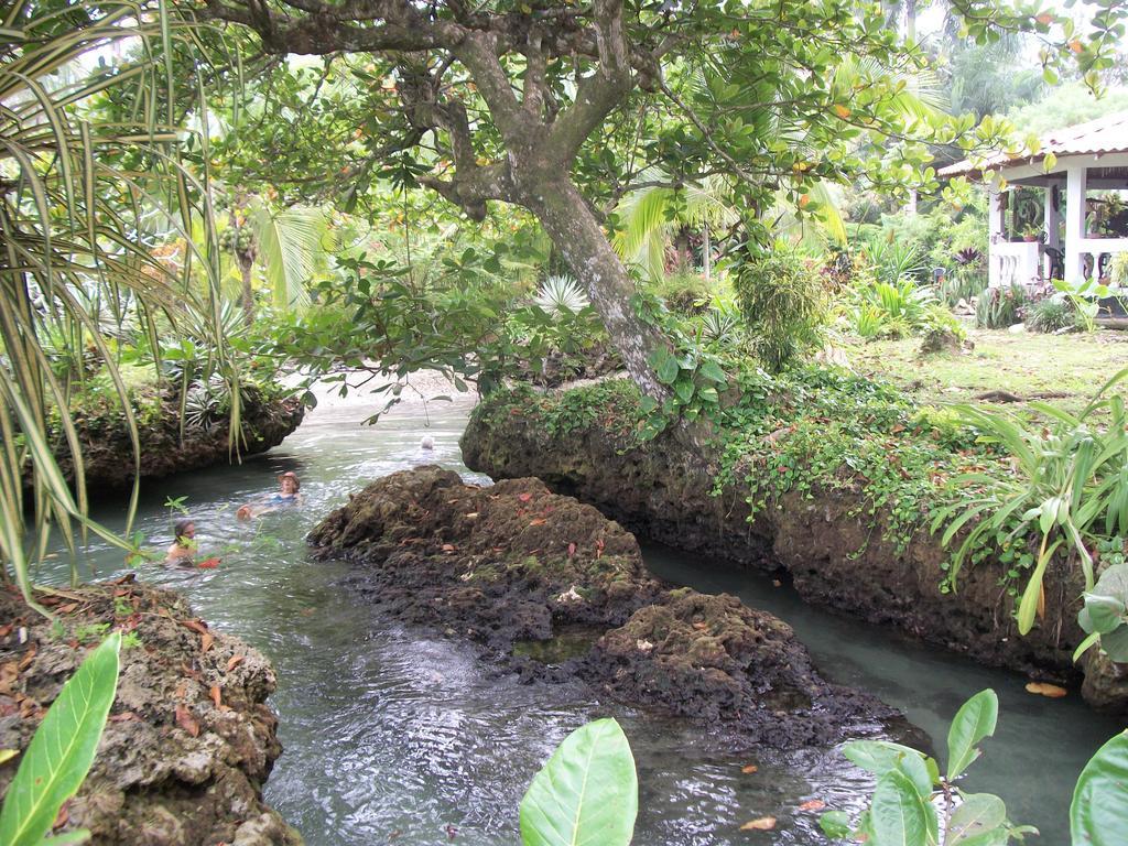 Piscina Natural On The Sea Cahuita Esterno foto