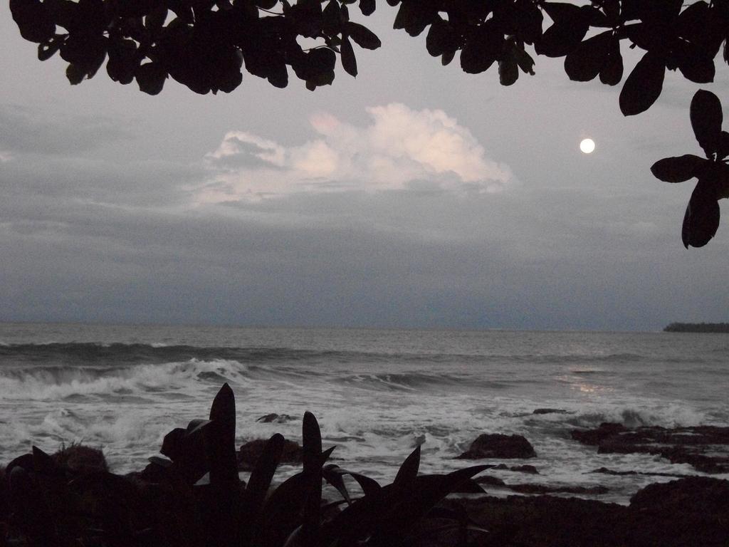 Piscina Natural On The Sea Cahuita Esterno foto