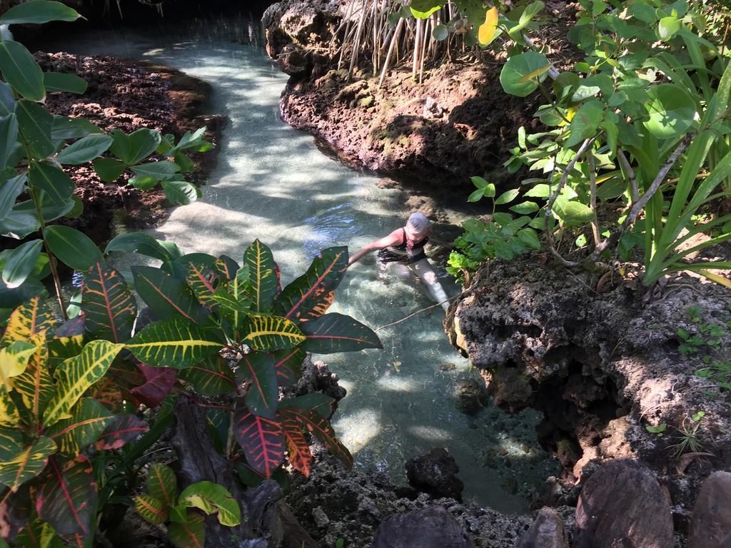 Piscina Natural On The Sea Cahuita Esterno foto