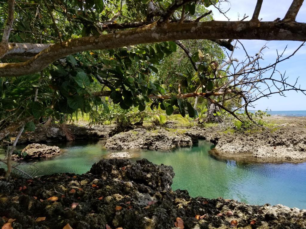 Piscina Natural On The Sea Cahuita Esterno foto