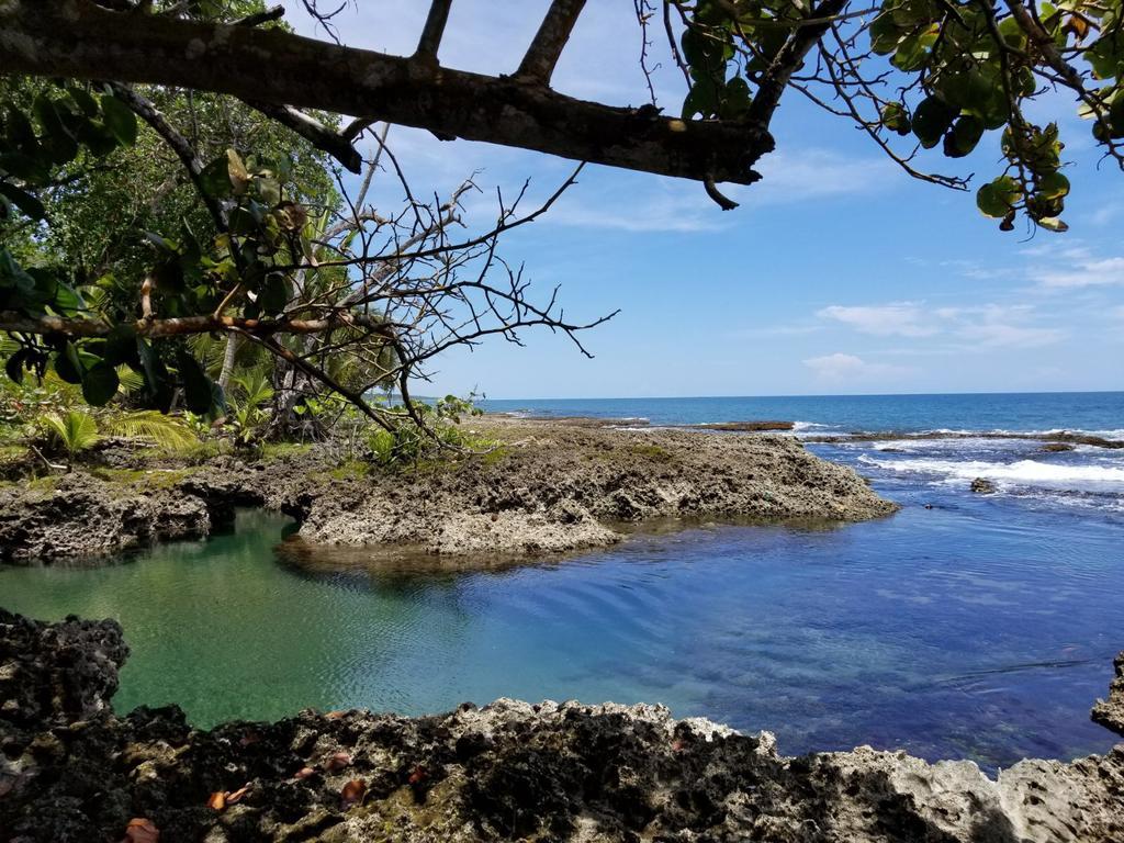 Piscina Natural On The Sea Cahuita Esterno foto