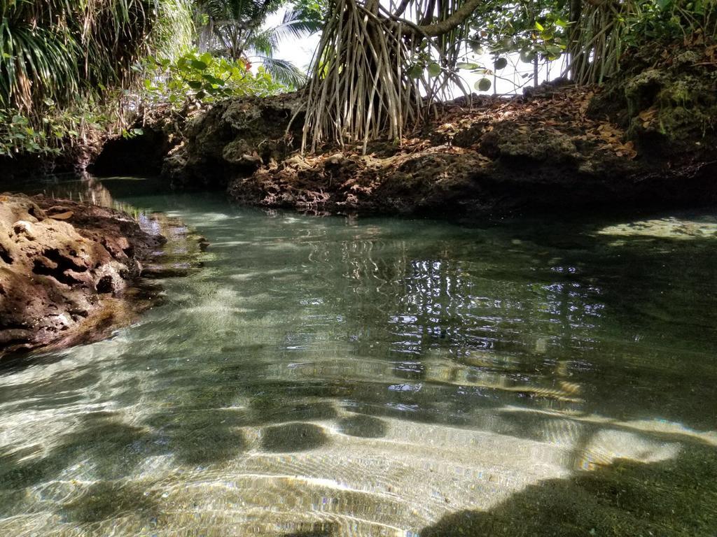 Piscina Natural On The Sea Cahuita Esterno foto