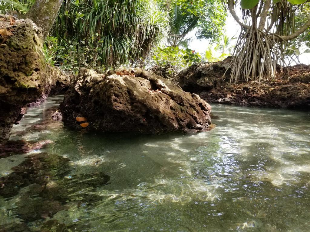 Piscina Natural On The Sea Cahuita Esterno foto
